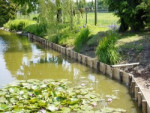beschoeiing robinia