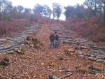 kapseizoen
