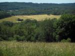 kapbossen robinia
